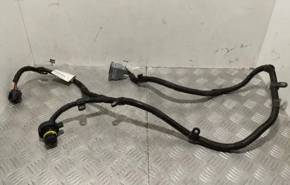 Engine installation wiring loom