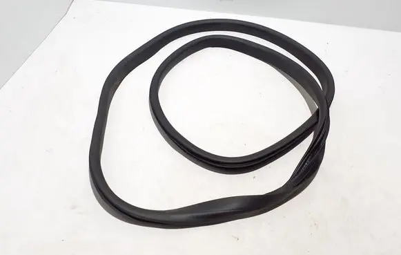 Renault Austral Rear door rubber seal (on body) 769233185R