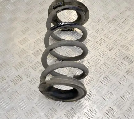 Tesla Model 3 Rear coil spring 104447201E