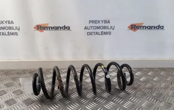 Volkswagen PASSAT B7 Rear coil spring