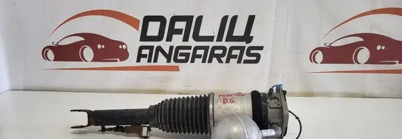 Volkswagen Phaeton Shock absorber/damper/air suspension 3D0616002G 169ATE020BED5