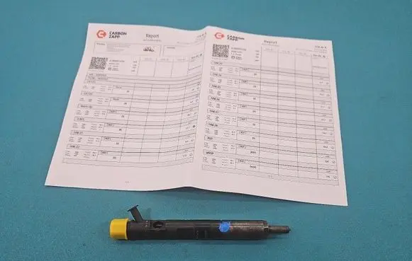 Renault Modus Fuel injector EJBR05102D IMPRK1503371