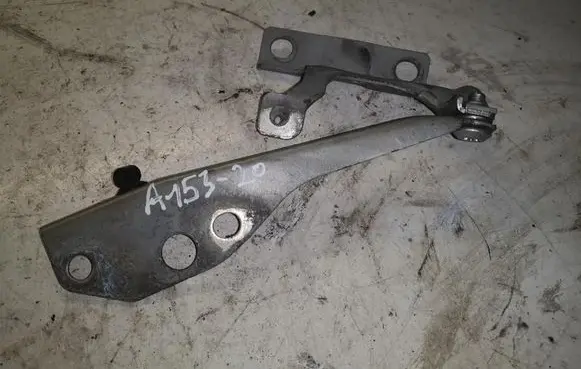 Tailgate/trunk/boot hinge