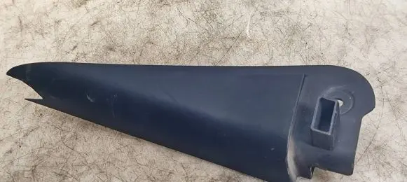 Other rear door trim element