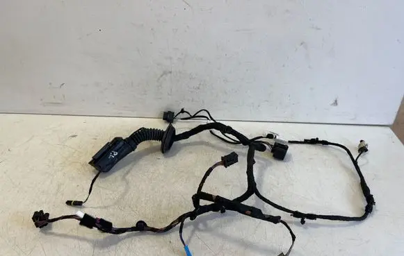 BMW X6 F16 Front door wiring loom E31854A 9365806