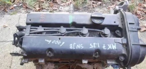 Ford Fiesta Engine block SNJB