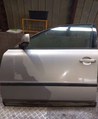 Volkswagen PASSAT B5 Front door