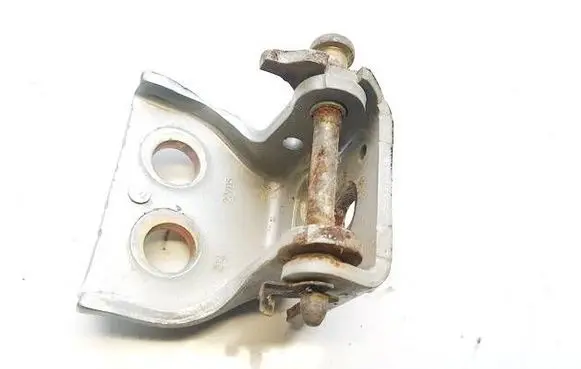 Peugeot 307 Rear door lower hinge 