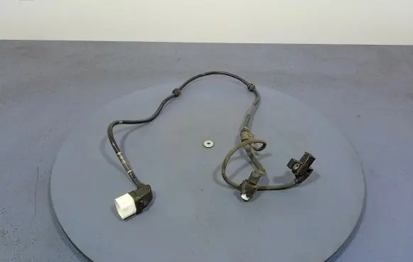 Mercedes-Benz AMG GT R190 C190 Other wiring loom A2905400606