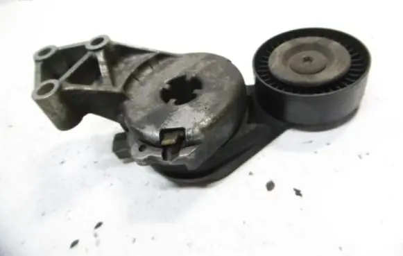 Volkswagen Bora Belt tensioner pulley 950414
