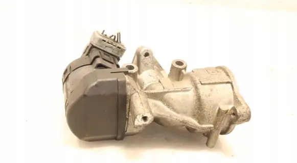 EGR valve