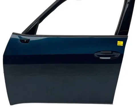 Cupra Born Front door 10A831055N LW5Q