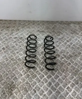 Renault Megane IV Rear coil spring