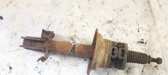 Renault Scenic I Front shock absorber/damper