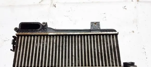 Citroen Xsara Intercooler radiator 9613541380 50277557