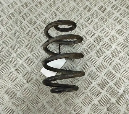 Nissan Leaf II (ZE1) Rear coil spring 550205SJ1B