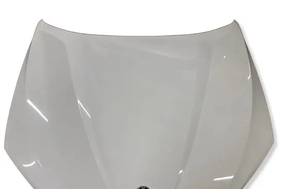 BMW X1 E84 Engine bonnet/hood 