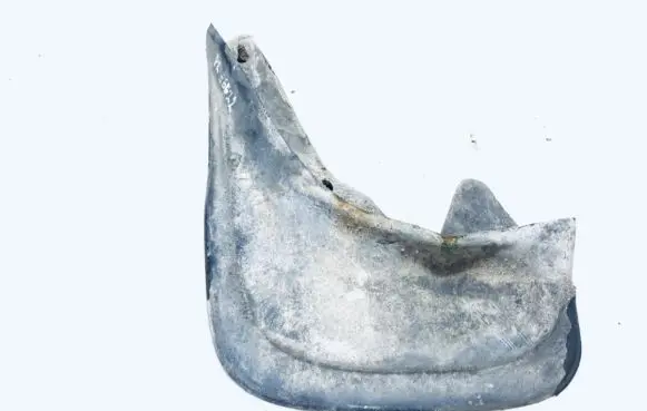 Front mudguard