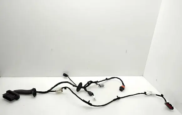 Front door wiring loom