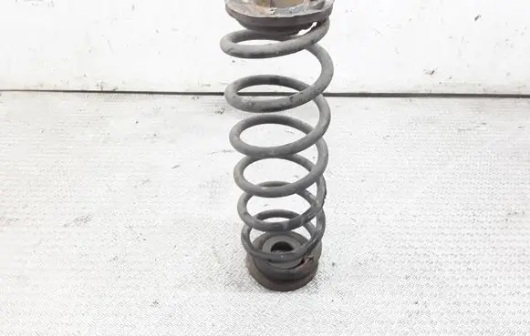 Volkswagen Jetta V Rear coil spring