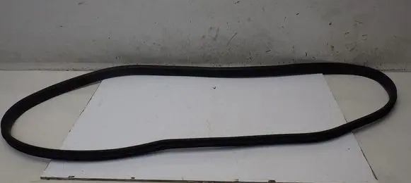 Renault Scenic IV - Grand scenic IV Rear door rubber seal (on body) 