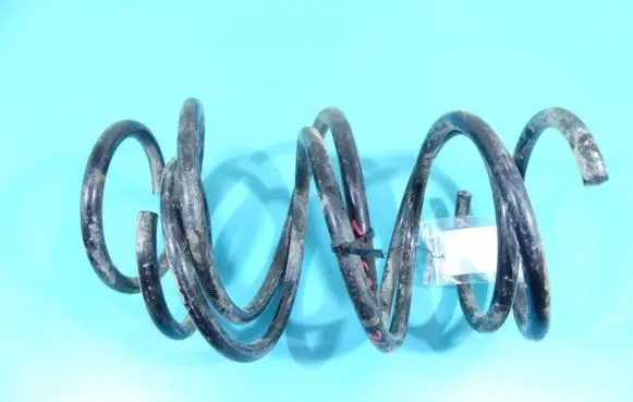 Front coil spring