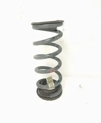 Ford Mustang VI Rear coil spring JR3C5560KA