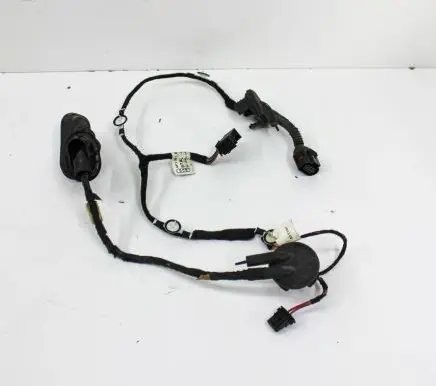 Audi A6 S6 C6 4F Front door wiring loom 4F1971687AL