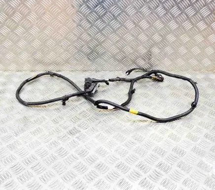 Tesla Model 3 Other wiring loom 106876901D