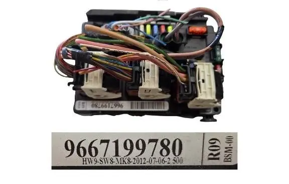 Peugeot 207 CC BSM Control unit 9667199780