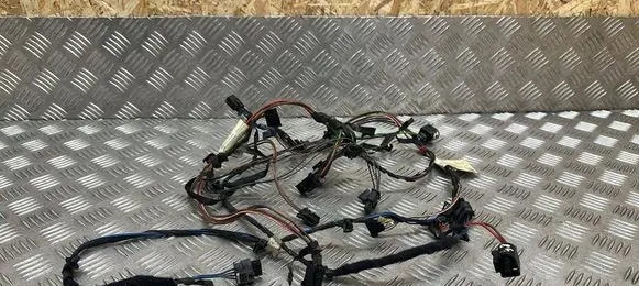 Mercedes-Benz Sprinter W906 Front door wiring loom A9060005999