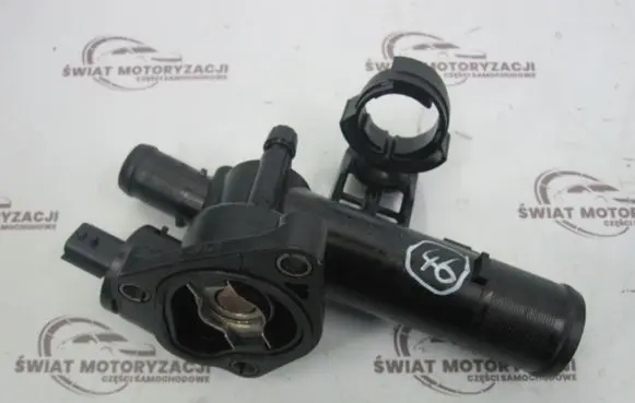 Thermostat/thermostat housing