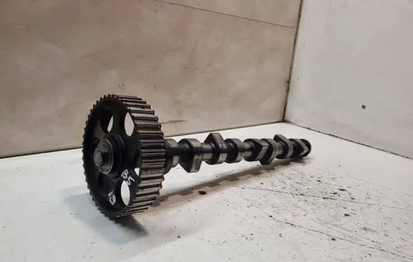 Volkswagen PASSAT B5 Camshaft 069109111