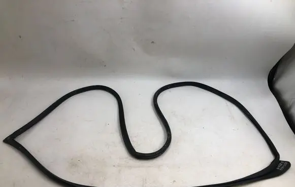 Hyundai Kona II Rubber seal front door (on door) 