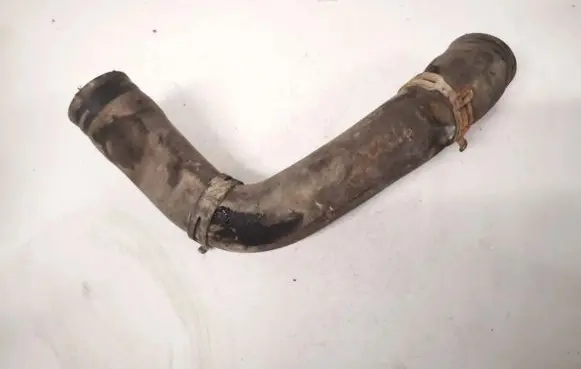 Opel Signum Engine coolant pipe/hose
