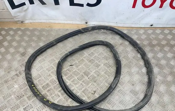 Opel Ampera Front door rubber seal 
