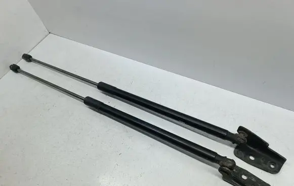 Tailgate/trunk strut/damper