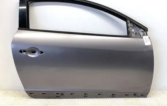 Renault Megane III Front door TEKNG