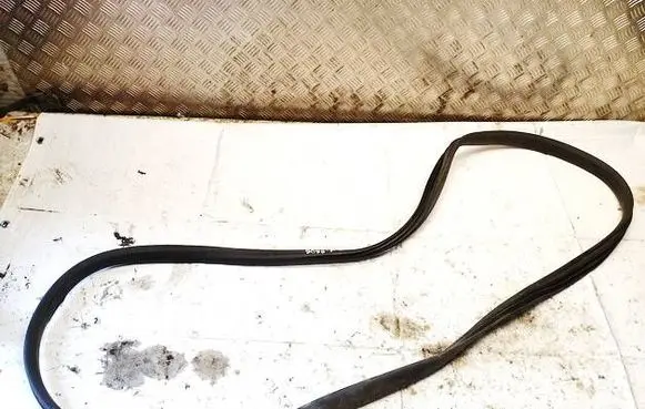 Renault Zoe Rubber seal front coupe door 