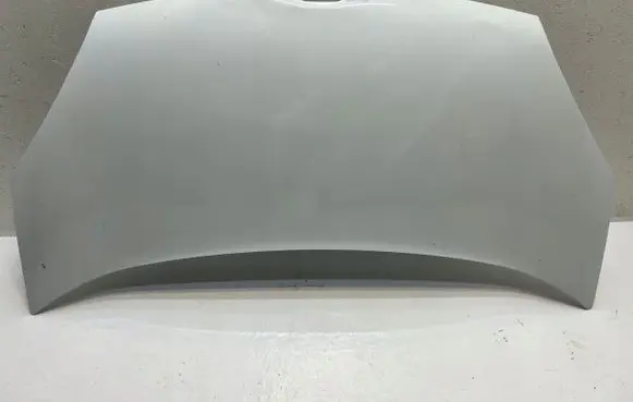 Renault Kangoo II Engine bonnet/hood