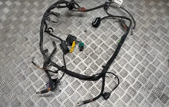 Volkswagen e-Golf Other wiring loom 0EA972612B