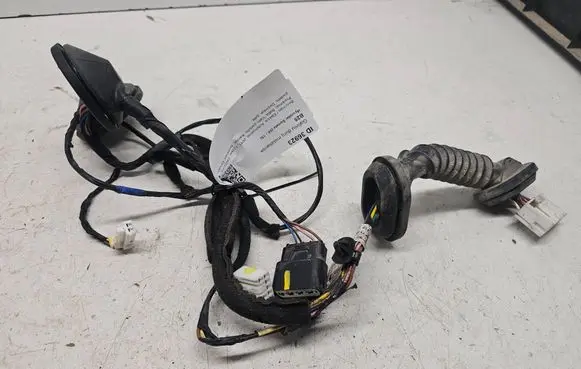 Hyundai Sonata Rear door wiring loom 9166004R040