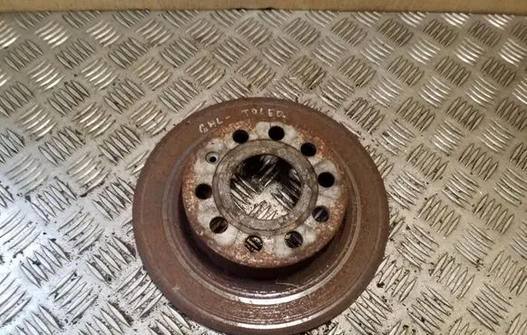 Seat Toledo III (5P) Rear brake disc