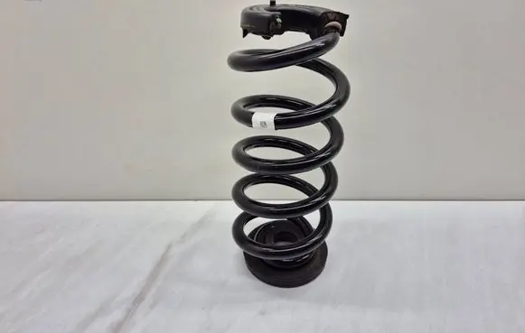Rear coil spring