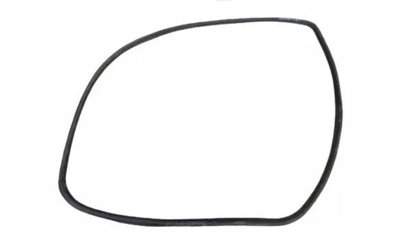 Opel Omega B2 Front door rubber seal