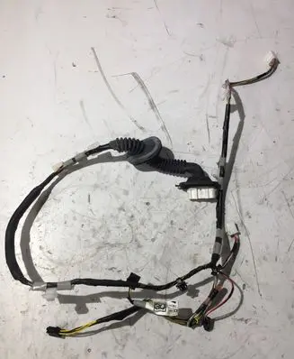 Rear door wiring loom