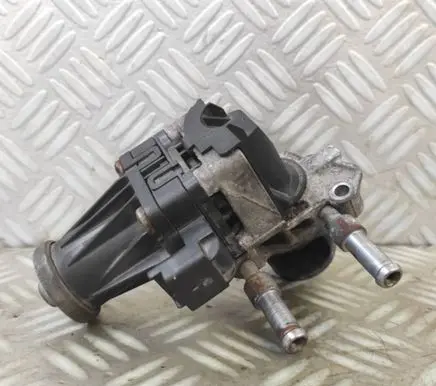 Peugeot Partner III EGR valve 9829870080
