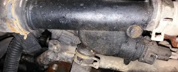 Volkswagen Golf IV Engine coolant pipe/hose 038121133