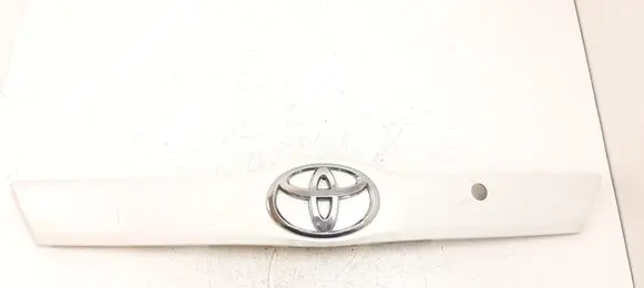Trunk door license plate light bar