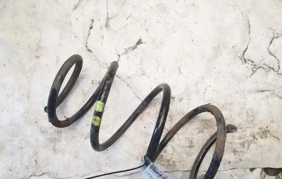 Toyota RAV 4 (XA30) Front coil spring